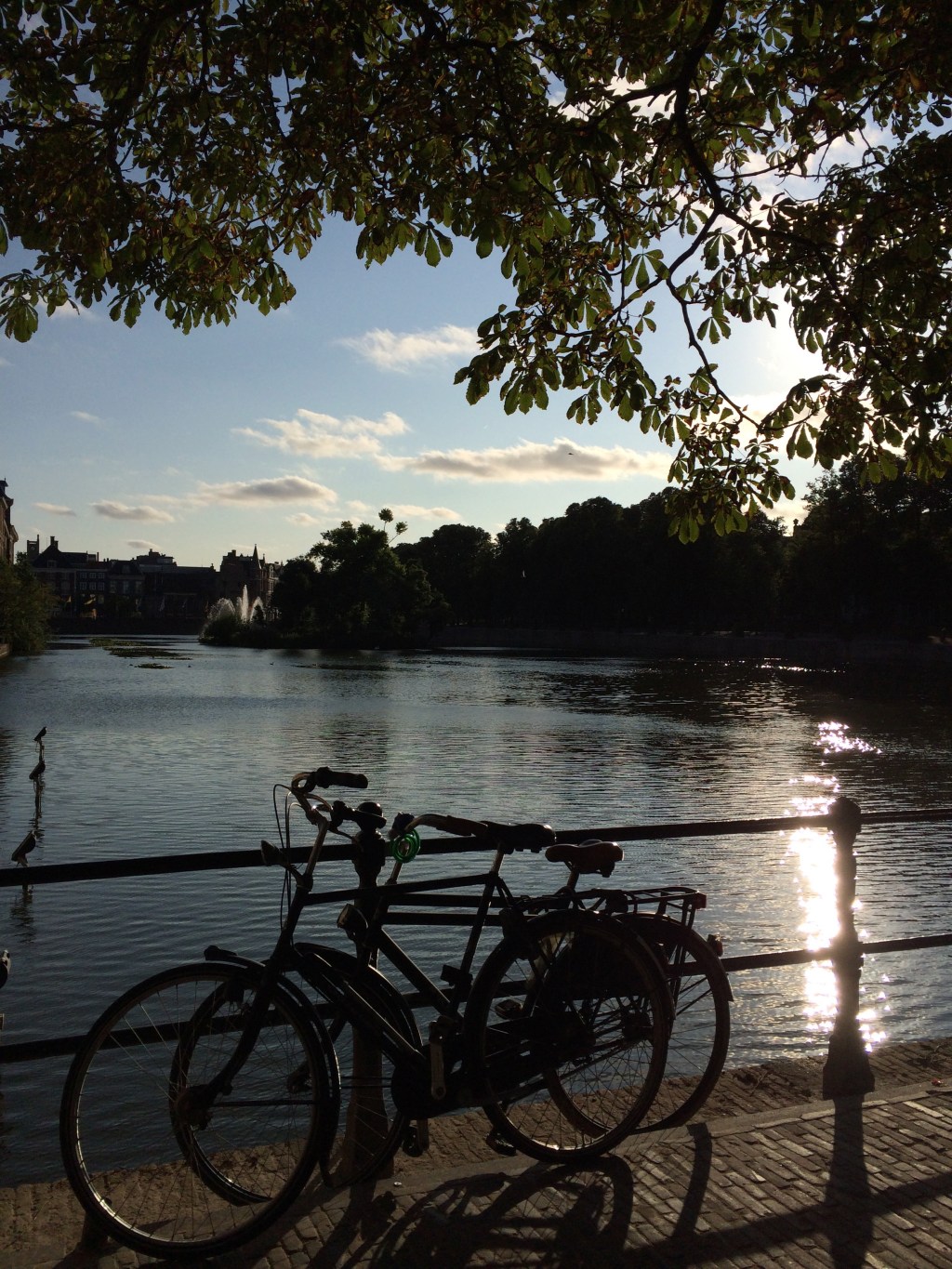 the hague (den haag),&nbsp;netherlands