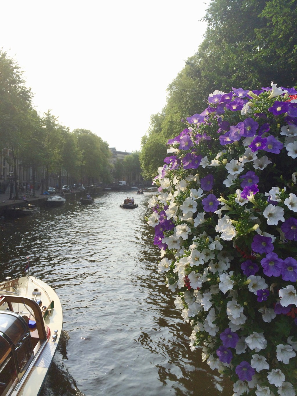 amsterdam, netherlands