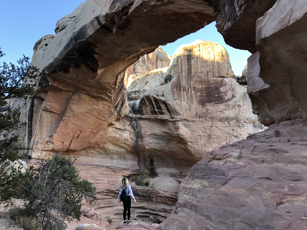 capitol reef national park, utah,&nbsp;usa