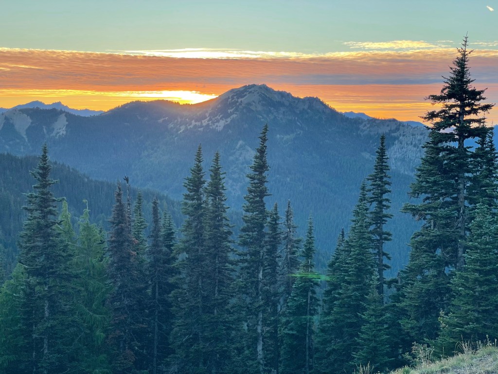 olympic national park, washington,&nbsp;usa